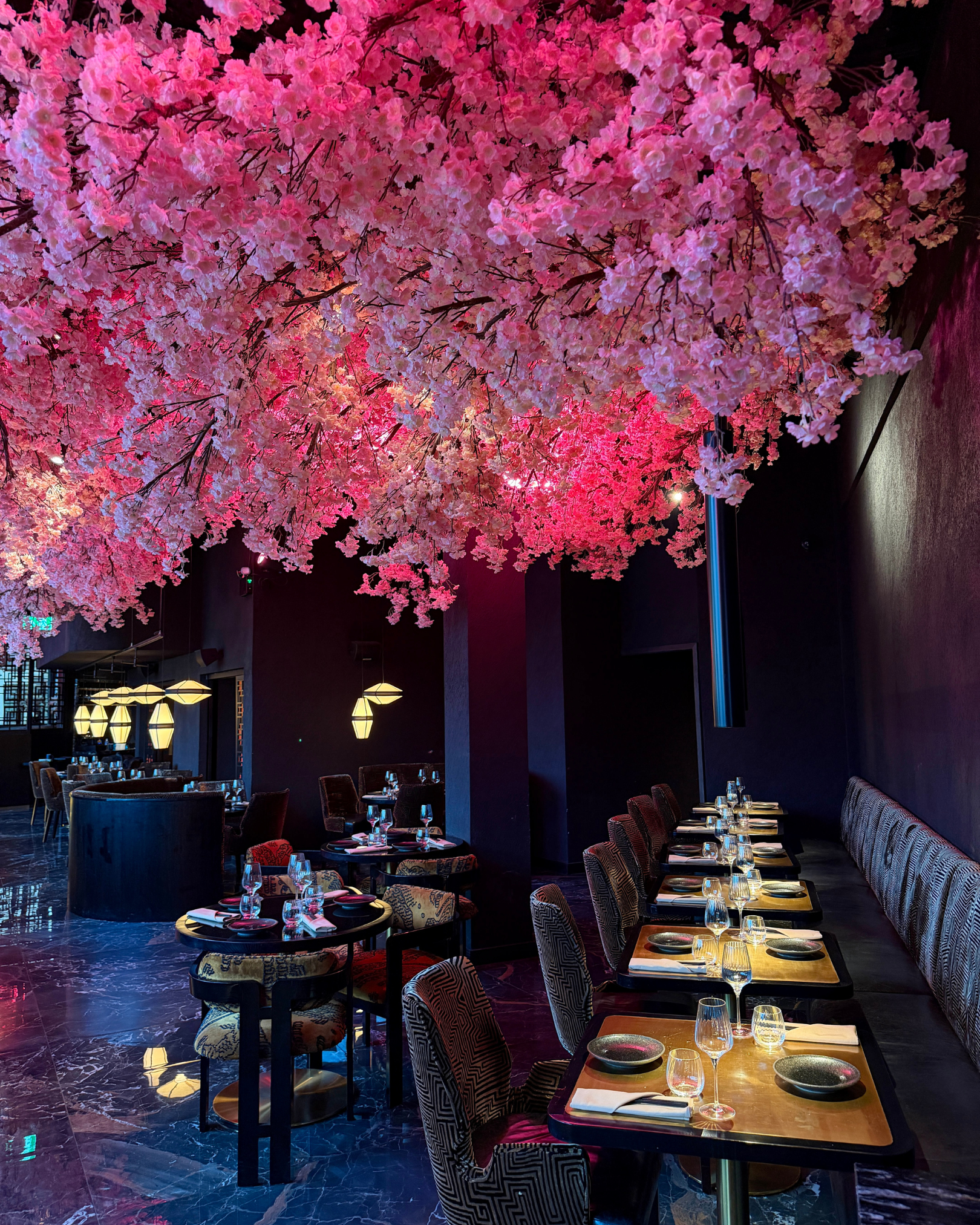 Noshi Project by Daniel James Group 3