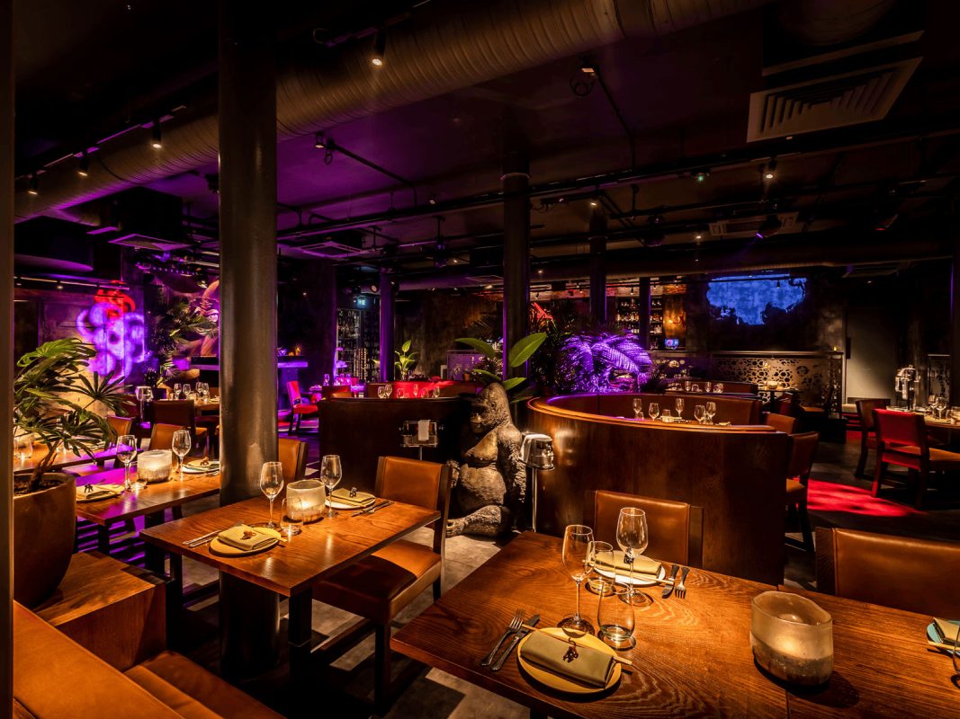 5-r8jp4tdfv6x9mwydd2ni557429e6520082ksfkfjeo